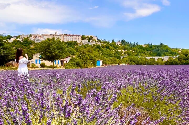 A day in the Lavenders and Villages of Provence