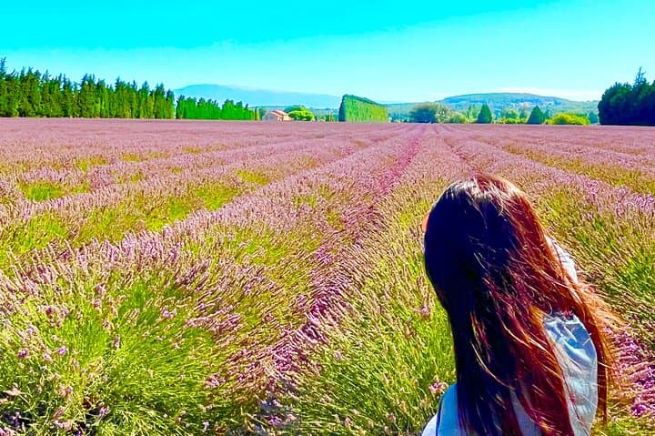 A day in the Lavenders and Villages of Provence