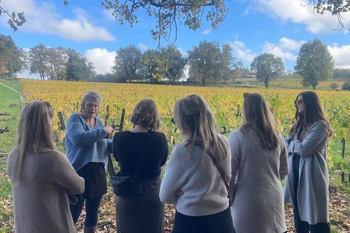 Wine tour Saint-Emilion Vert Bordeaux