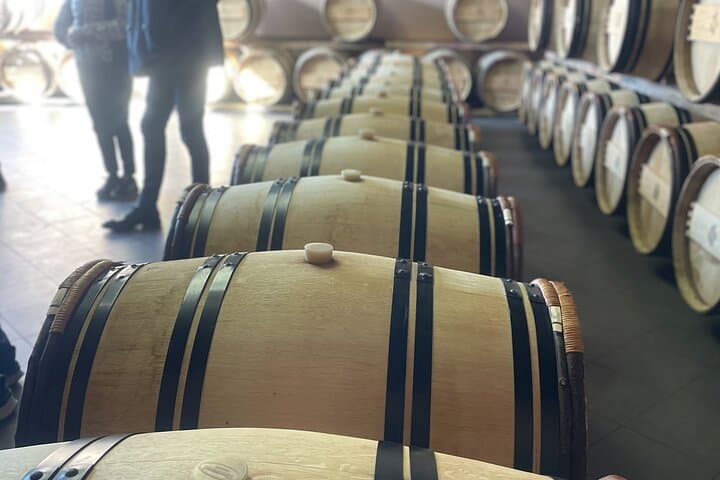 Wine tour Saint-Emilion Vert Bordeaux