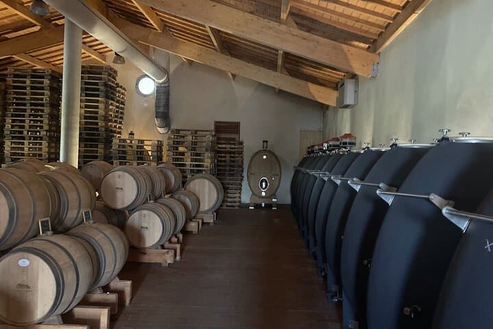 Saint-Emilion Pomerol Wine Tour Green Bordeaux