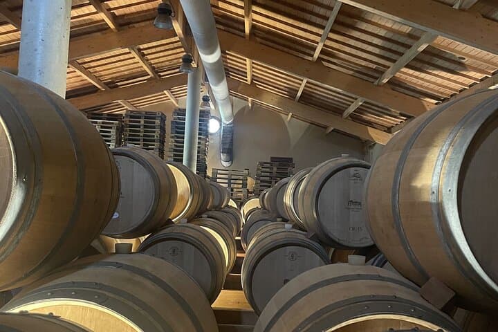 Saint-Emilion Pomerol Wine Tour Green Bordeaux