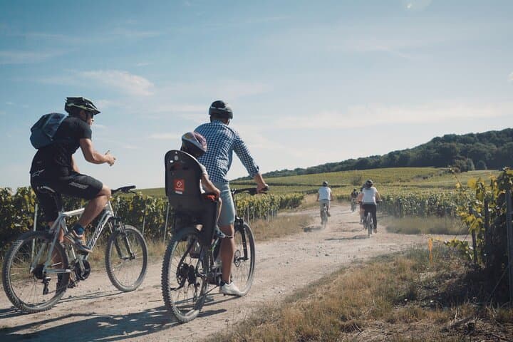 Reims: day in Champagne by electric bike with tastings