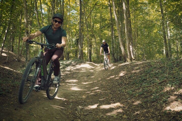 Reims: day in Champagne by electric bike with tastings