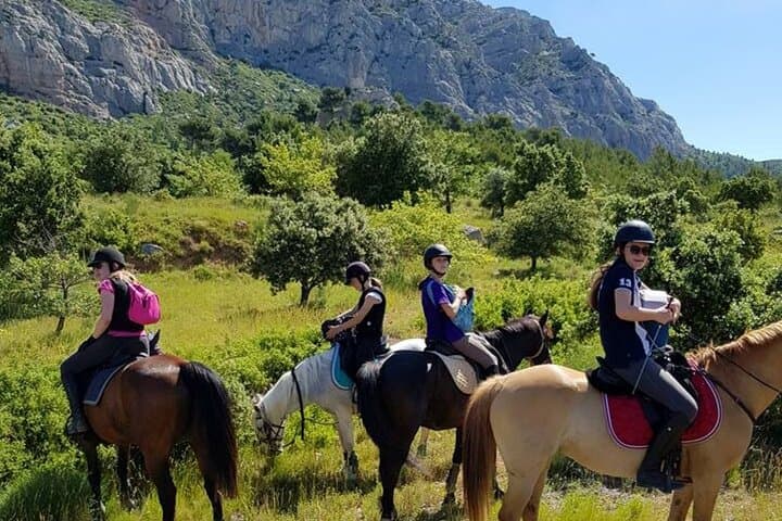 Unwinding in Nature : Picnic & Hike or Horseback Ride or Yoga