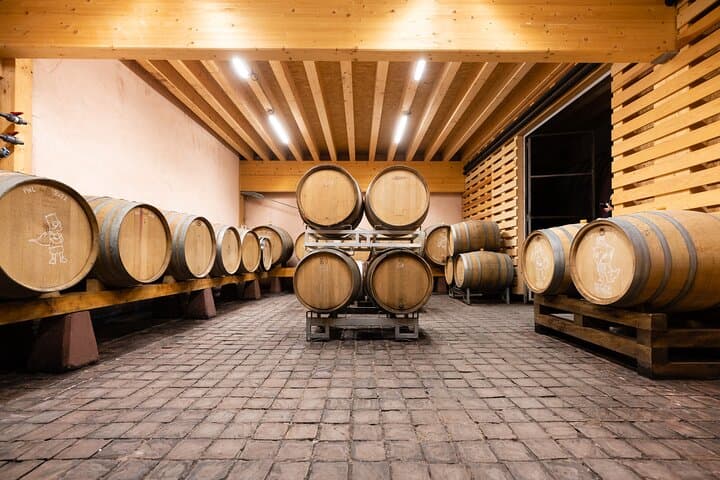 Alsace: Wine tasting/Single Straw Wine Tour