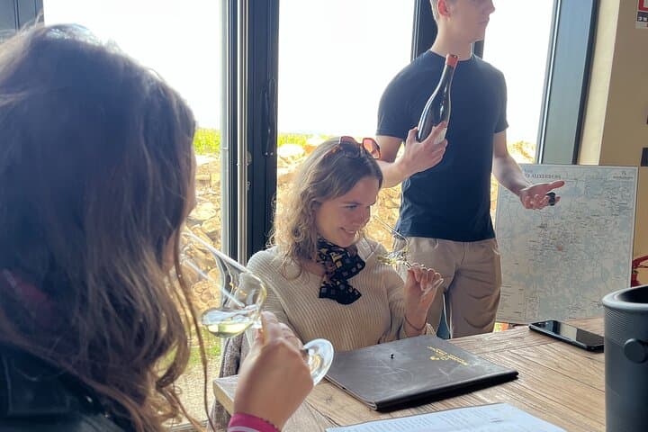 Chablis-Burgundy Private Wine Day from Paris: 8 Tastings & Lunch