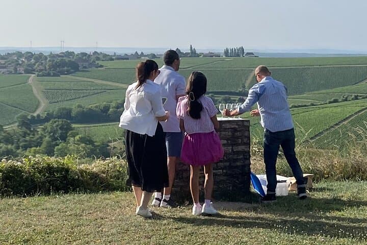 Chablis-Burgundy Private Wine Day from Paris: 8 Tastings & Lunch