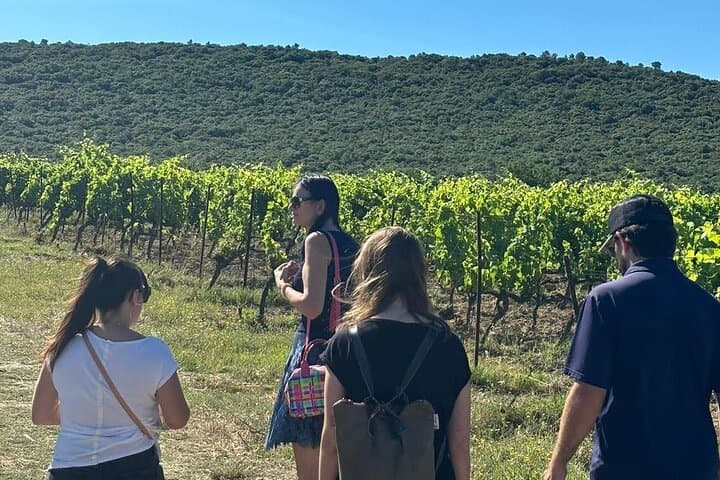 Excursion to the Terraces of Larzac Wines History and Gastronomy