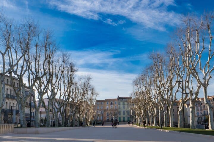 Canal de la Robine and Palais des Archbiques: The historic heart of Narbonne.