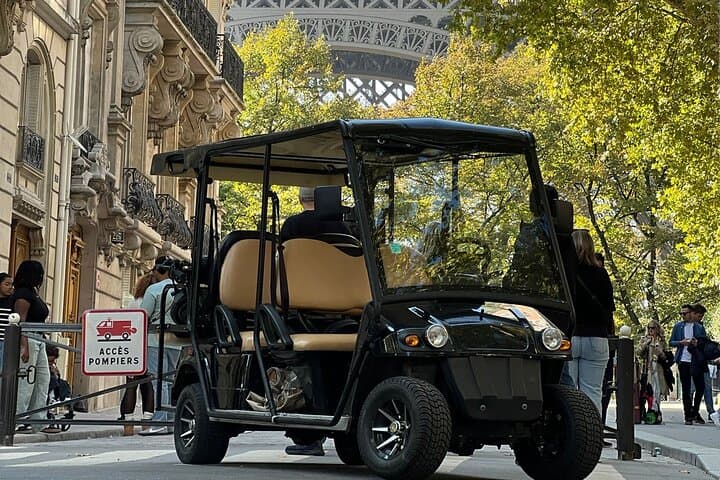 Modern electric golf carts designed for comfort and smooth sightseeing