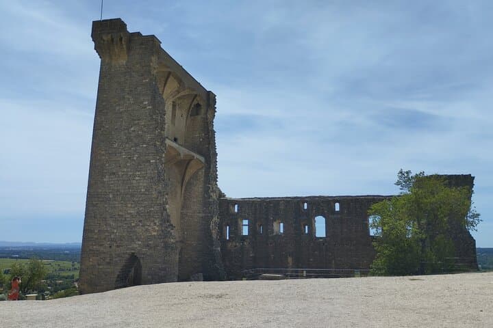 Inside Châteauneuf-du-Pape: A Wine Experience