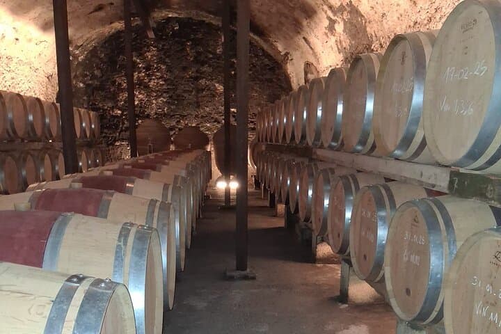 Inside Châteauneuf-du-Pape: A Wine Experience