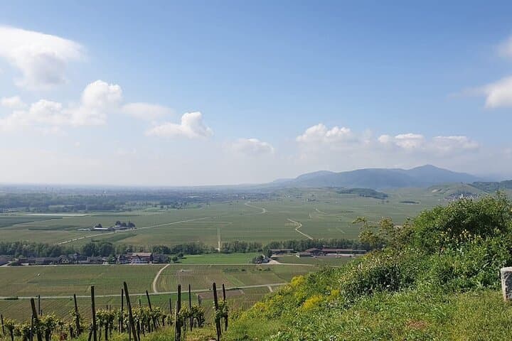 Excursion on the Alsace Wine Route