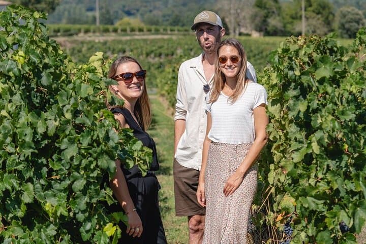 Explore Saint-Emilion vineyards with a wine Expert