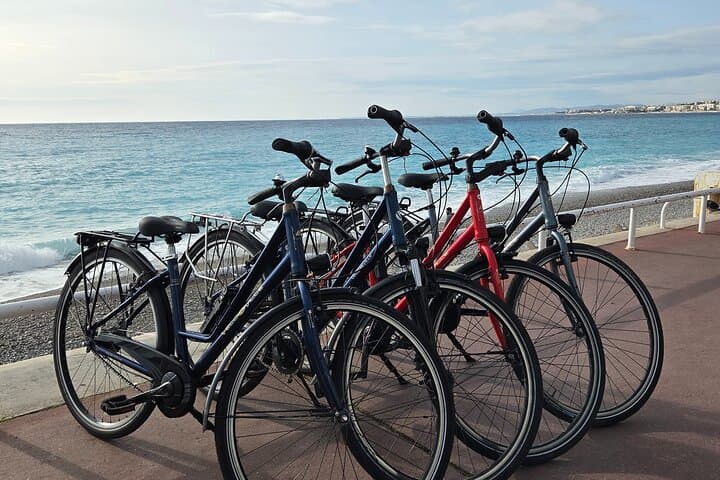 City bike rental