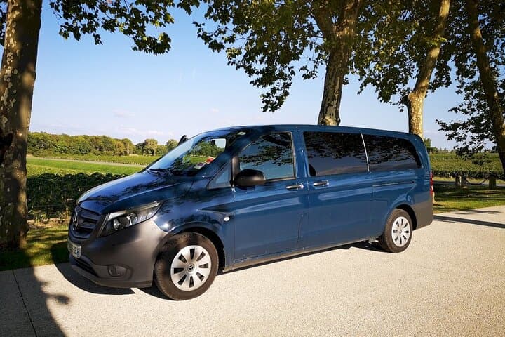 A taste of Medoc Half Day Private Wine Tour from Bordeaux Port