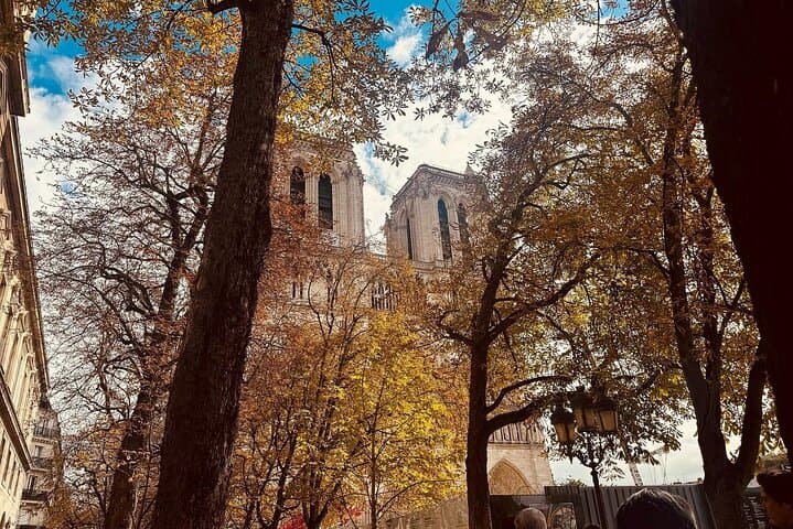 Notre-Dame Outdoor Guided Tour with Optional Cathedral Access