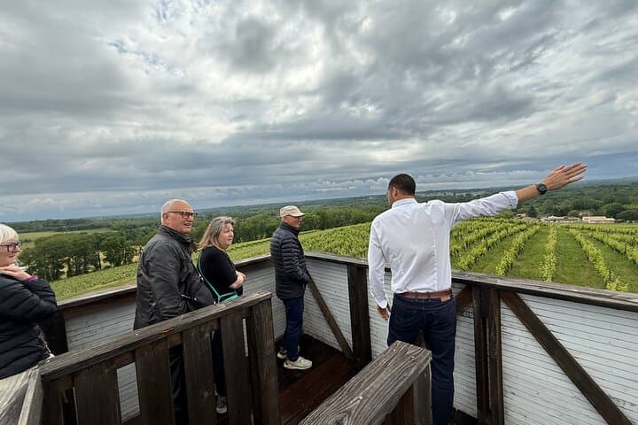 Sauternes Wine Tour Sweet Botrytis