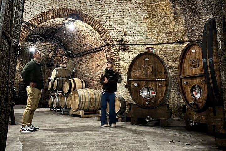 Champagne Cellar tour and tasting