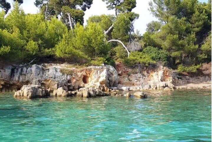 Cannes: Private Boat Adventure – Lerin Islands, Snorkelling