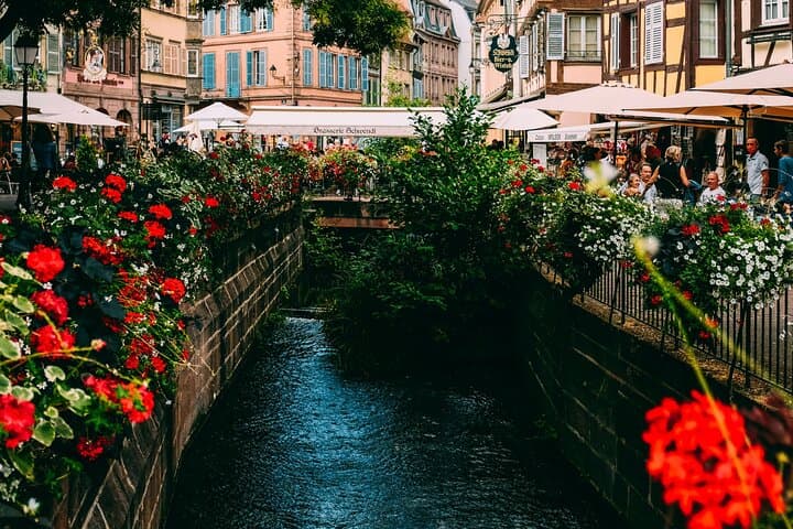 Half-day small group tour from Colmar to castle,Riquewihr