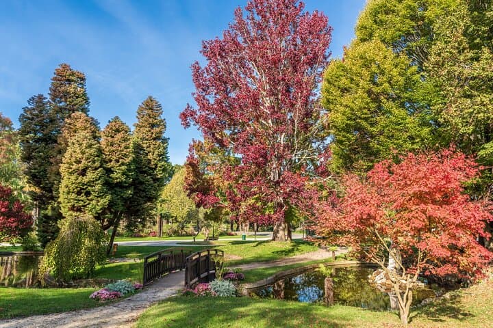 Moorish Park: The green lung of the city, a real arboretum connecting the City of Winter to the City of Summer.