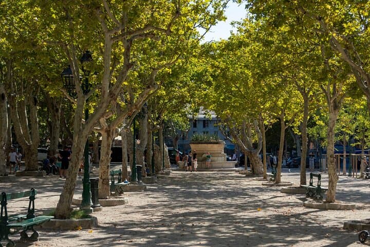 Place des Lices: The soul of the village under the century-old plane trees, famous for its pétanque games and Point of Sale.