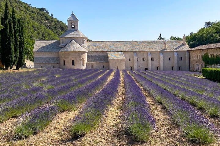 Abbey of Senanque and lavender