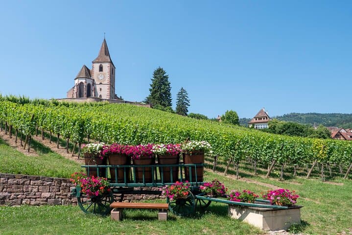 Private Cultural Car Tour in Colmar Wine Village