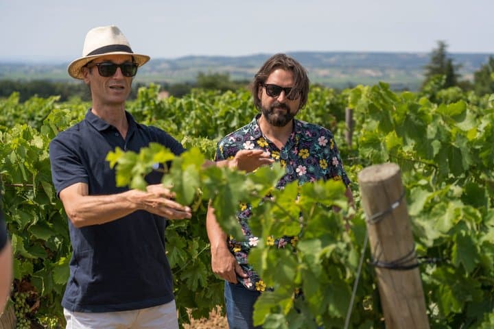 Morning Wine Tour to Chateauneuf du Pape from Avignon