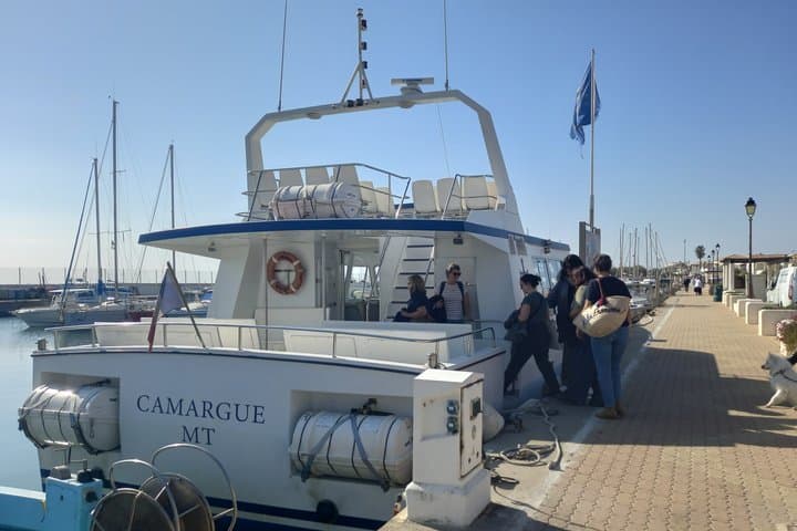 Camargue Full Day Tour from Avignon