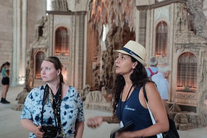 Avignon Walking Tour including Pope's Palace