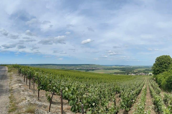 Paris Private Champagne Day Trip to Reims and Epernay