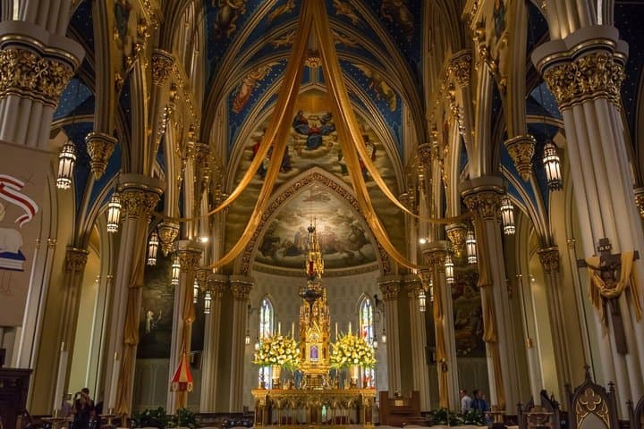 Notre Dame Access with Exterior and Indoor Guided Tour