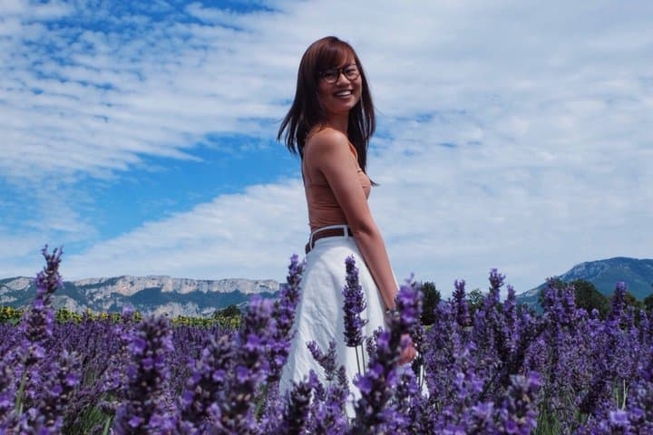 Lavender in Sault Small Group Half-Day Trip