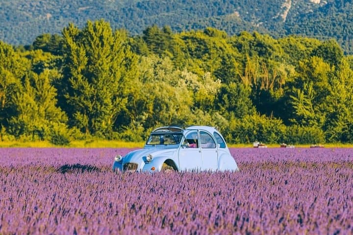 2 Days Provence private Tour in a Vintage 2CV