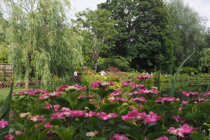 Monet’s Gardens & Vernon Old Mill - Small Group(2-6) from Paris