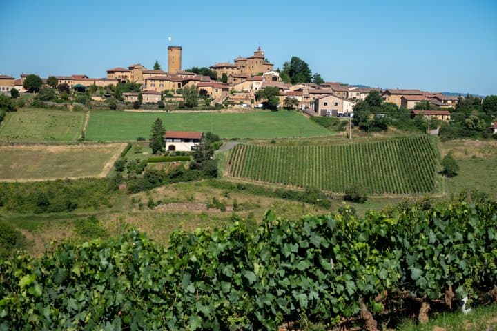 From Lyon: Beaujolais “Golden Stones” Wine Tasting Private Tour