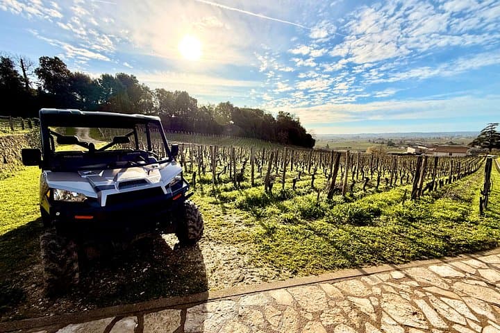 Biodynamic Wine Tour in Saint Emilion