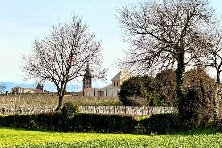 Biodynamic Wine Tour in Saint Emilion