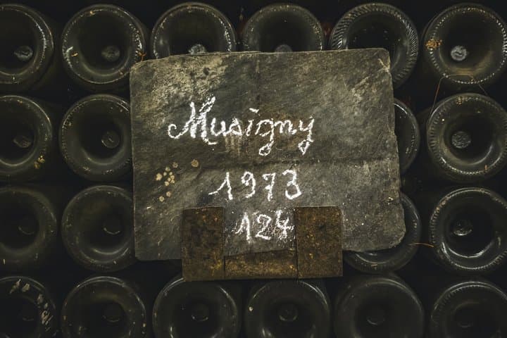 Prestigious Wine Tour in Côte de Nuits