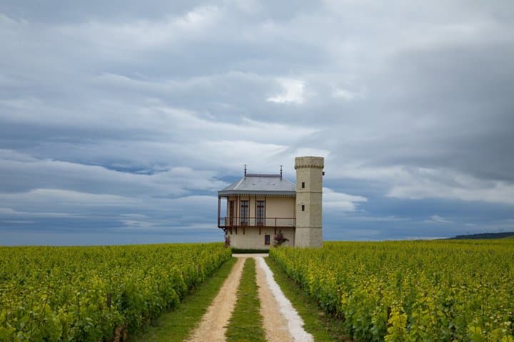 Prestigious Wine Tour in Côte de Nuits