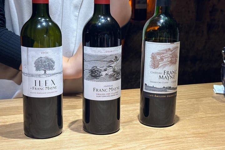 Half day in Saint Émilion from Bordeaux with tasting