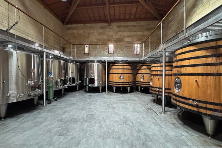 Half day in Saint Émilion from Bordeaux with tasting