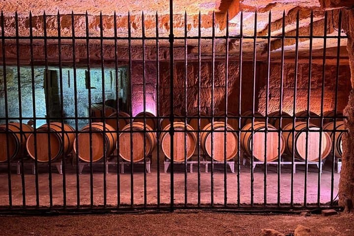 Half day in Saint Émilion from Bordeaux with tasting