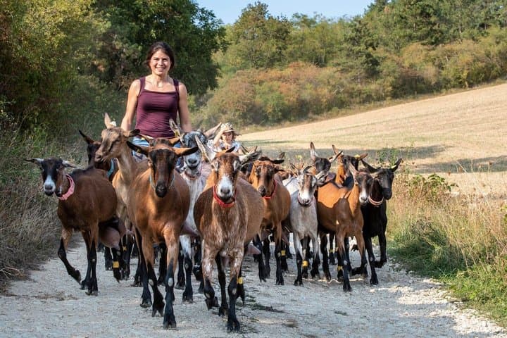 Paris Wine Day Tours - Chablis Wine tour - 3 Tastings with Lunch