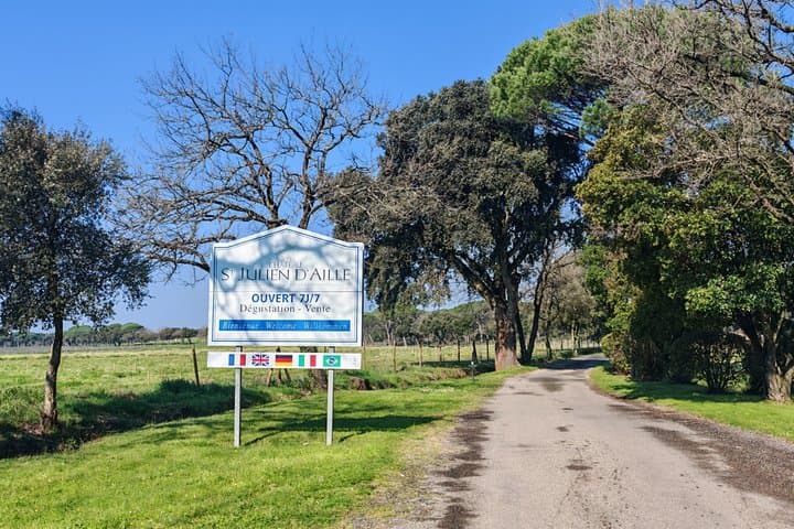 Private Wine Tasting Experience at Chateau Saint Julien d’Aille
