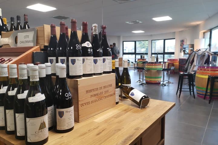 Private Wine Tasting in Beaune : The Grand Cru Magic