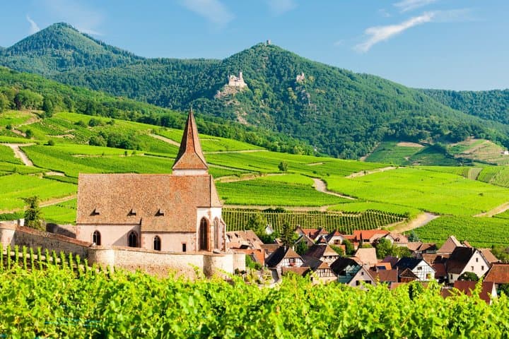 Alsace Castles & Winery: Full Day Private Tour from Colmar